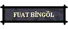 FUAT BNGL